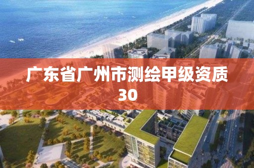 廣東省廣州市測繪甲級資質(zhì)30