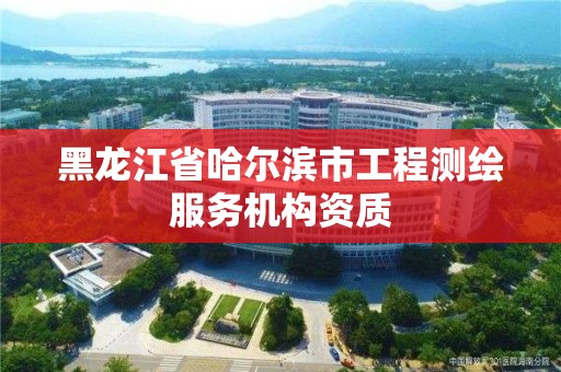 黑龍江省哈爾濱市工程測繪服務機構(gòu)資質(zhì)