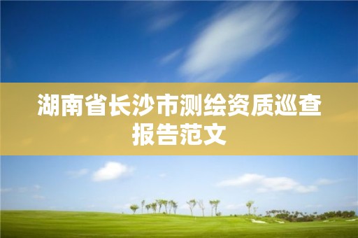 湖南省長沙市測繪資質巡查報告范文