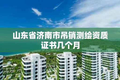 山東省濟南市吊銷測繪資質證書幾個月