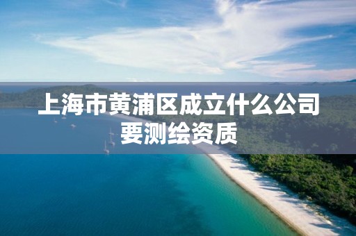 上海市黃浦區成立什么公司要測繪資質