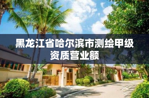 黑龍江省哈爾濱市測繪甲級資質營業額