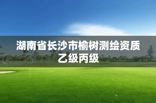 湖南省長沙市榆樹測繪資質乙級丙級