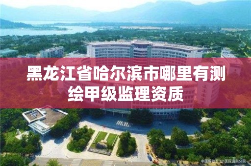 黑龍江省哈爾濱市哪里有測繪甲級監理資質