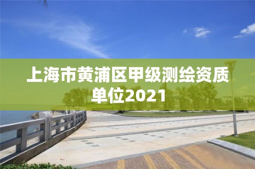 上海市黃浦區甲級測繪資質單位2021