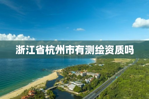 浙江省杭州市有測繪資質嗎