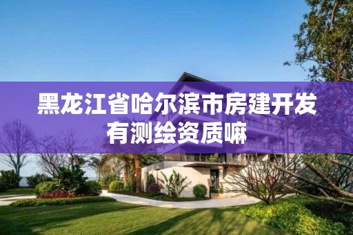 黑龍江省哈爾濱市房建開發有測繪資質嘛