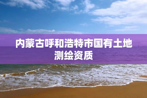 內蒙古呼和浩特市國有土地測繪資質