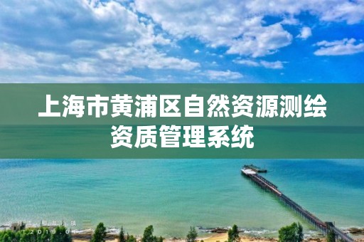 上海市黃浦區自然資源測繪資質管理系統