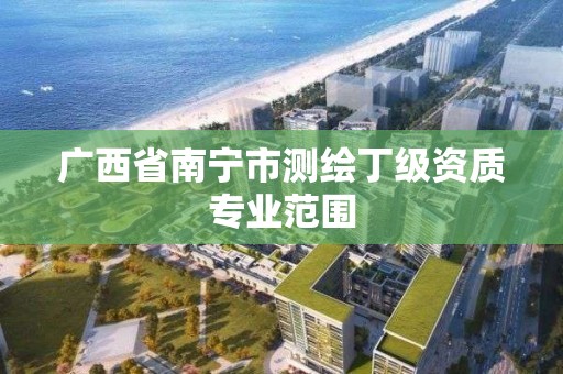 廣西省南寧市測繪丁級資質專業范圍