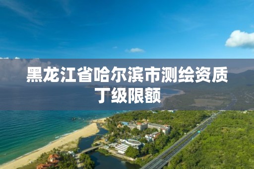 黑龍江省哈爾濱市測繪資質(zhì)丁級(jí)限額