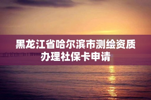 黑龍江省哈爾濱市測繪資質辦理社保卡申請