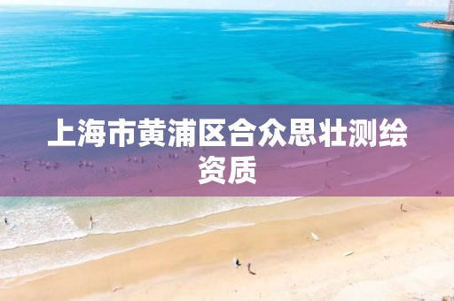 上海市黃浦區合眾思壯測繪資質