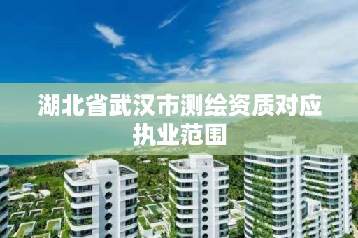 湖北省武漢市測繪資質對應執業范圍