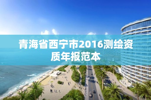 青海省西寧市2016測繪資質(zhì)年報范本