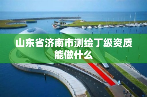 山東省濟南市測繪丁級資質能做什么