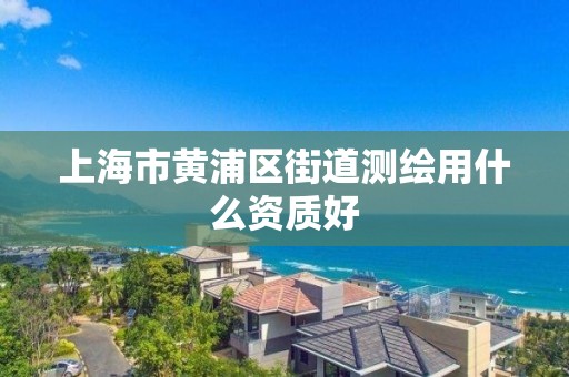 上海市黃浦區(qū)街道測繪用什么資質(zhì)好