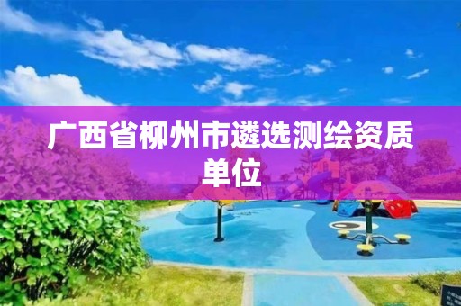 廣西省柳州市遴選測繪資質單位