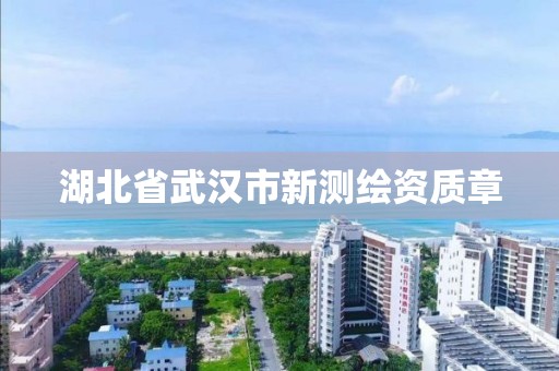 湖北省武漢市新測繪資質(zhì)章