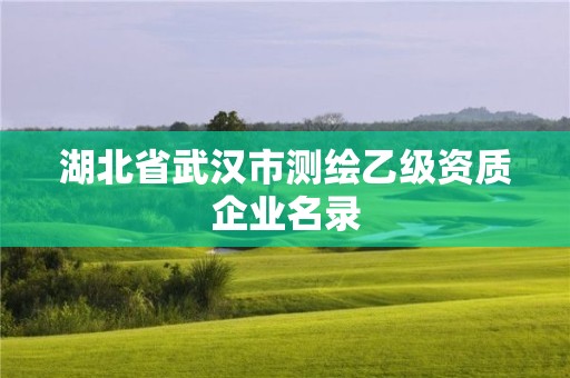 湖北省武漢市測繪乙級資質企業名錄