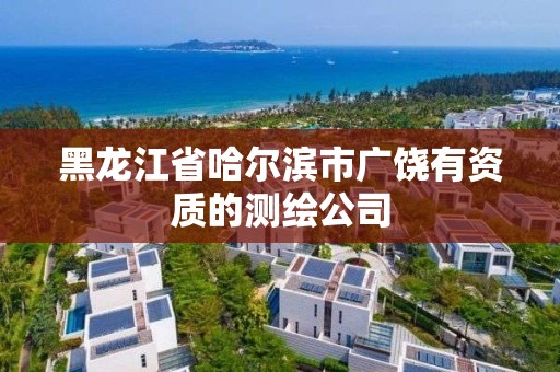 黑龍江省哈爾濱市廣饒有資質的測繪公司