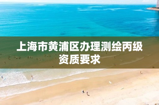 上海市黃浦區辦理測繪丙級資質要求