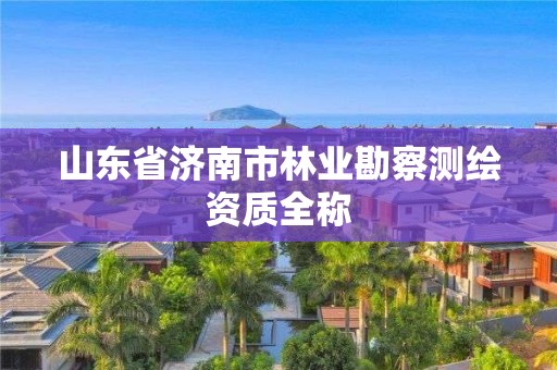 山東省濟南市林業勘察測繪資質全稱