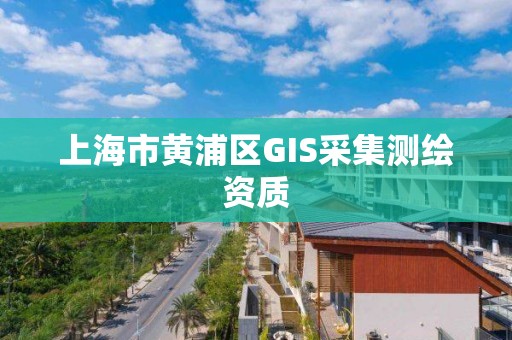 上海市黃浦區GIS采集測繪資質