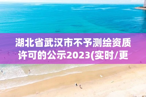 湖北省武漢市不予測繪資質(zhì)許可的公示2023(實時/更新中)