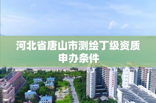 河北省唐山市測繪丁級資質申辦條件