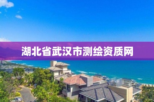 湖北省武漢市測繪資質網