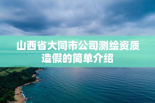 山西省大同市公司測繪資質造假的簡單介紹