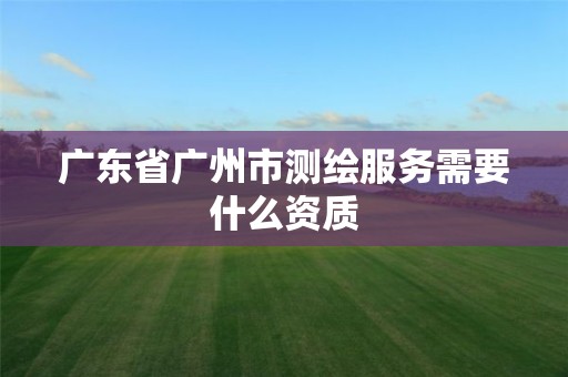 廣東省廣州市測繪服務需要什么資質