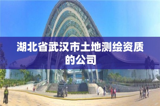 湖北省武漢市土地測繪資質的公司