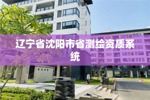 遼寧省沈陽市省測繪資質系統