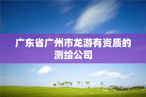 廣東省廣州市龍游有資質的測繪公司