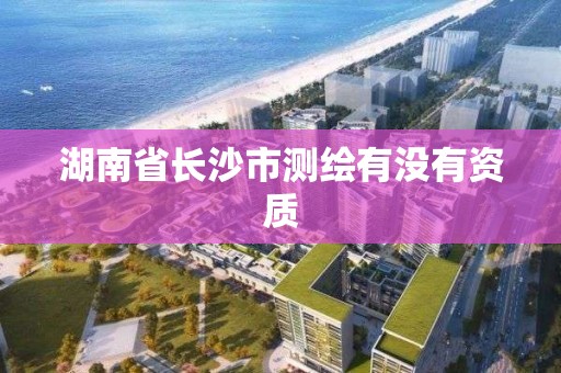 湖南省長沙市測繪有沒有資質