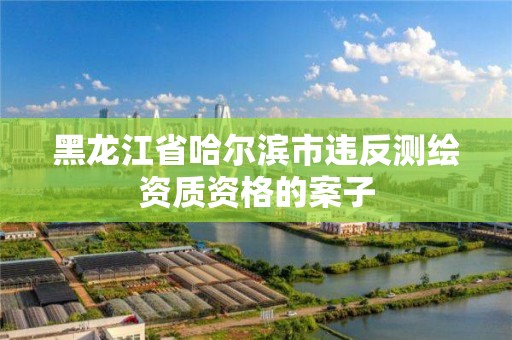 黑龍江省哈爾濱市違反測(cè)繪資質(zhì)資格的案子