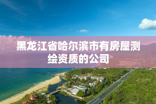 黑龍江省哈爾濱市有房屋測繪資質的公司