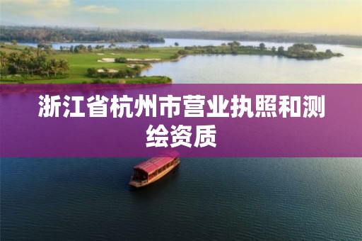 浙江省杭州市營業(yè)執(zhí)照和測繪資質(zhì)