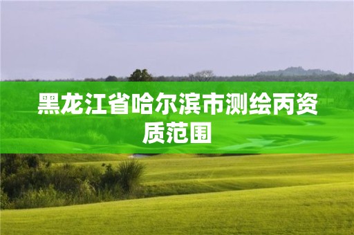 黑龍江省哈爾濱市測繪丙資質范圍