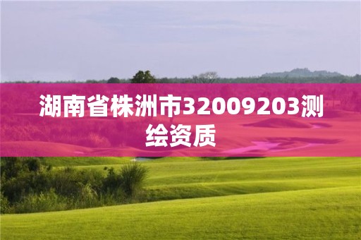 湖南省株洲市32009203測繪資質