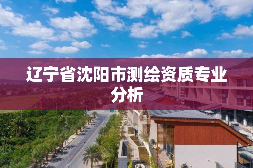 遼寧省沈陽市測繪資質專業分析