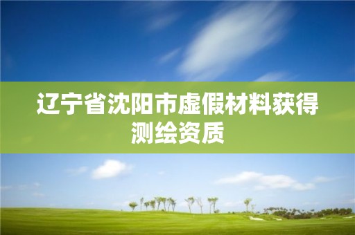 遼寧省沈陽市虛假材料獲得測繪資質