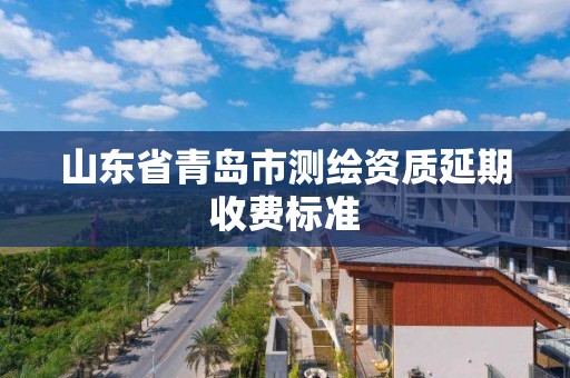 山東省青島市測繪資質延期收費標準