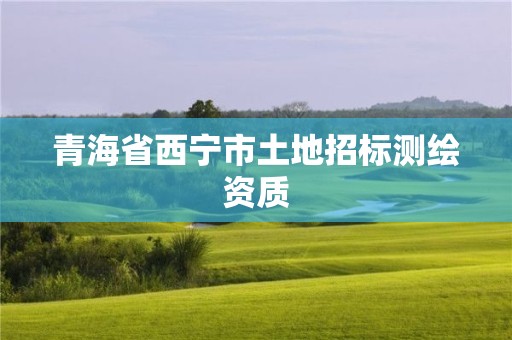 青海省西寧市土地招標(biāo)測繪資質(zhì)