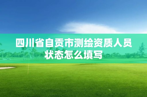 四川省自貢市測繪資質人員狀態怎么填寫