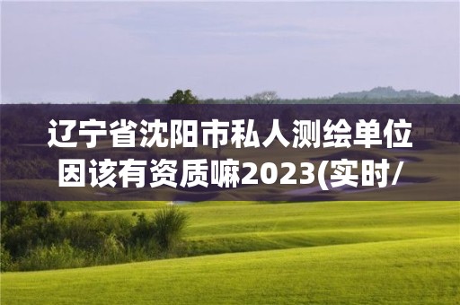 遼寧省沈陽市私人測繪單位因該有資質(zhì)嘛2023(實時/更新中)