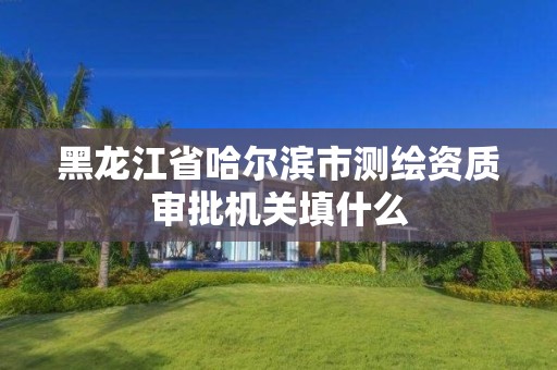 黑龍江省哈爾濱市測繪資質審批機關填什么