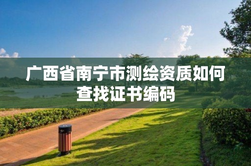 廣西省南寧市測繪資質如何查找證書編碼